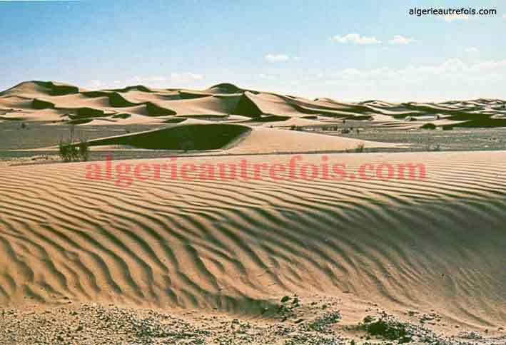 Les Oasis - Le Desert