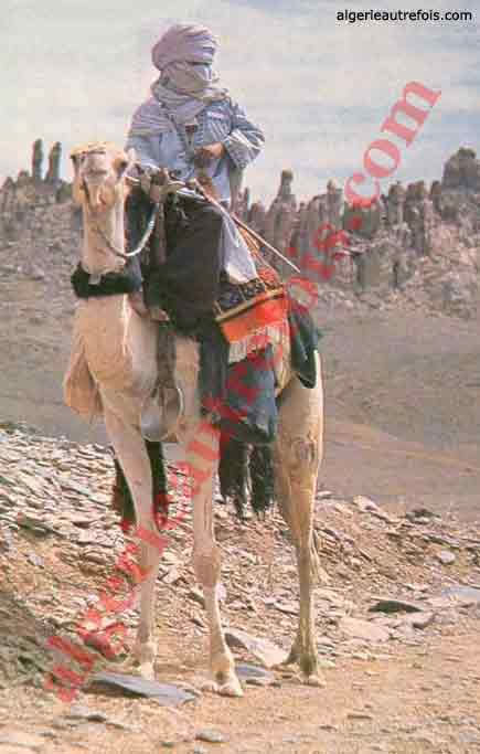 Les Oasis - Le Desert