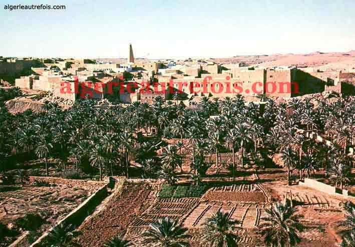 Les Oasis - Le Mzab