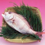 Le poisson